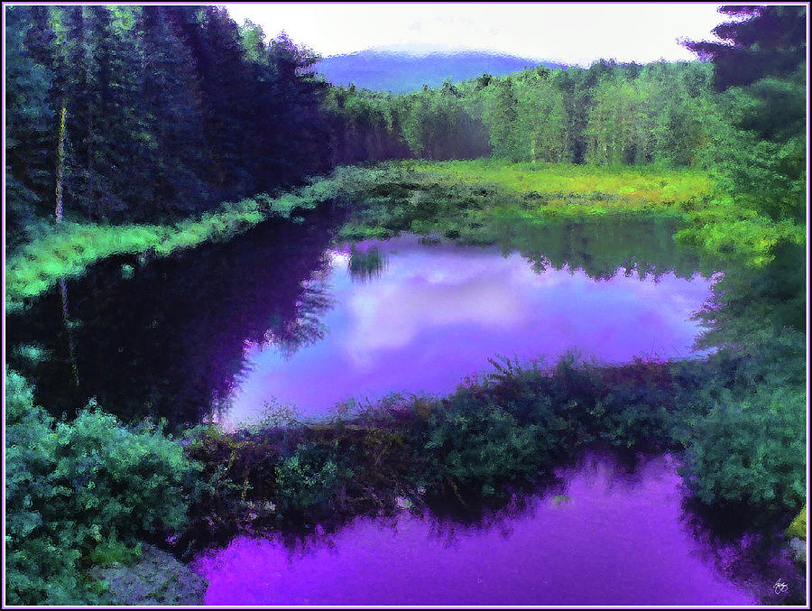 The Beaver Pond Photograph by Wayne King