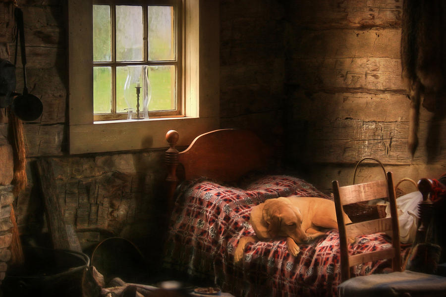 The Bed Warmer Photograph by Lori Deiter