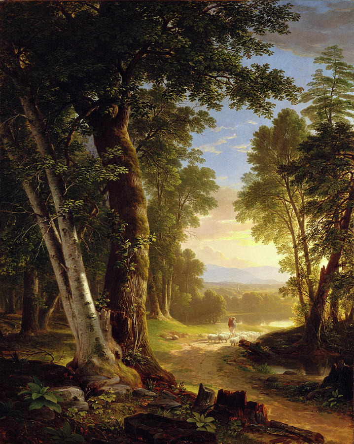 Asher Brown Durand Painting - The Beeches by Asher Brown Durand by Asher Brown Durand