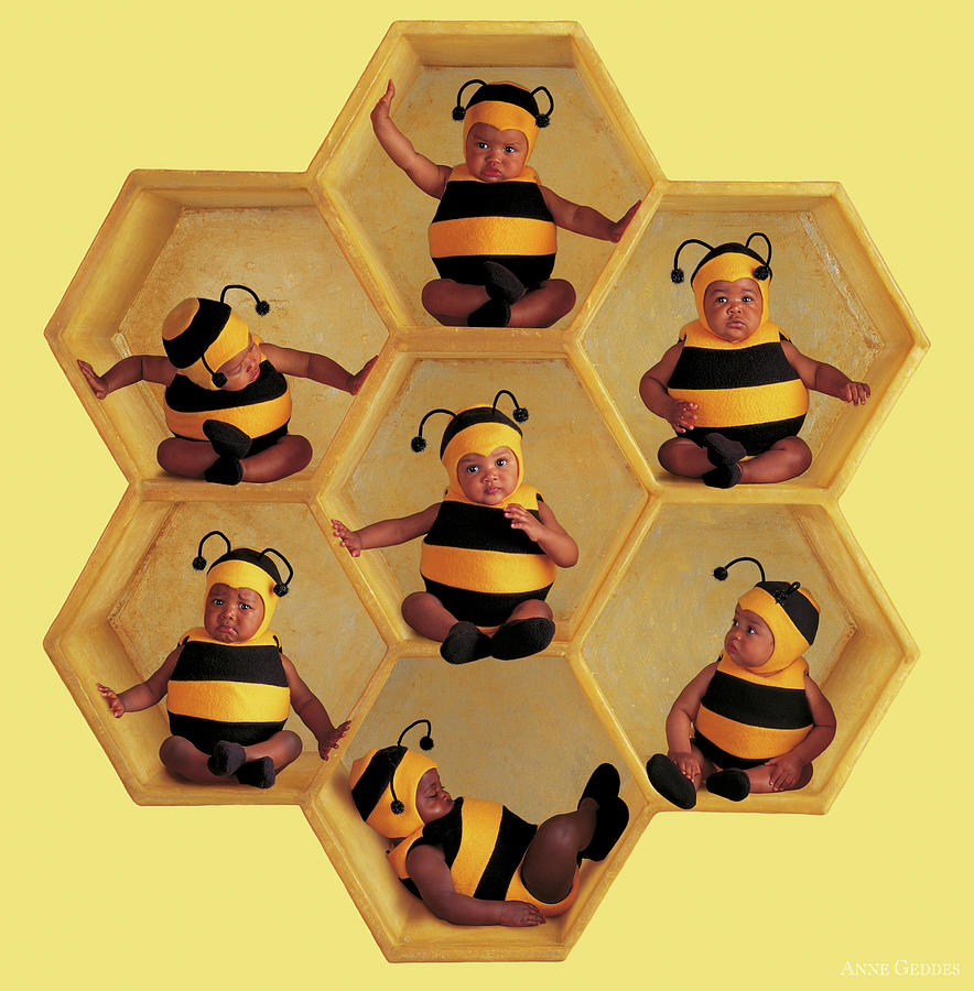 Bees Photograph - The Beehive by Anne Geddes