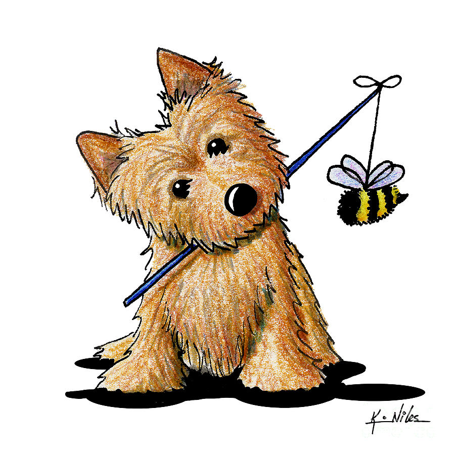 Norwich Terrier Drawing - The Beekeeper by Kim Niles Norwich Terrier Drawing - The Beekeeper by Kim Niles