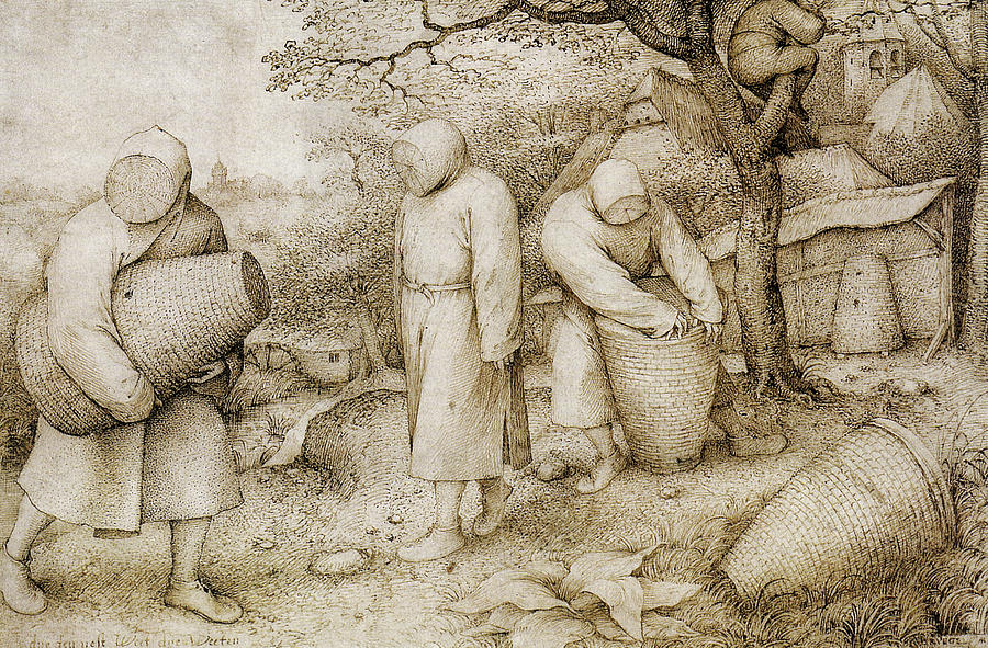 The Beekeepers and the Birdnester Drawing by Pieter Bruegel the Elder