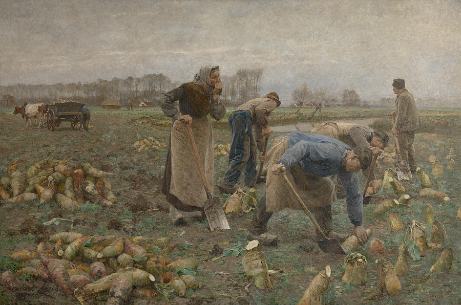 Emile Claus Painting - The Beet Harvest by Emile Claus