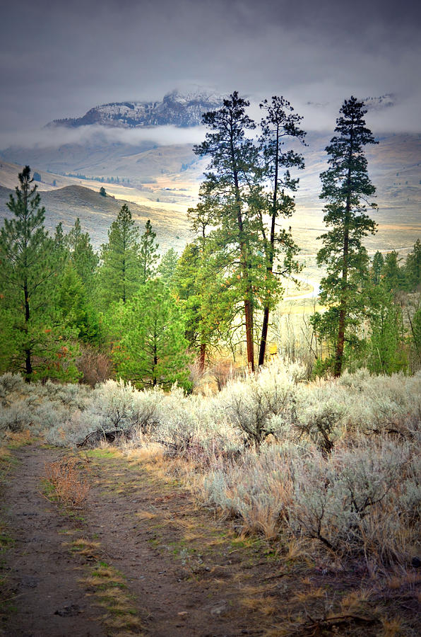 The Beginning of December Photograph by Tara Turner - Fine Art America