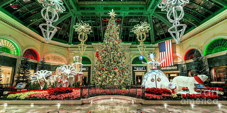 Las Vegas Photograph - The Bellagio Christmas Tree at Night 2017 2 to 1 Ratio by Aloha Art