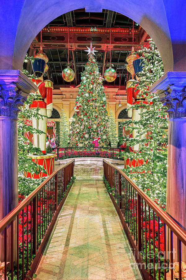 Las Vegas Photograph - The Bellagio Christmas Tree Under the Arch 2016 by Aloha Art