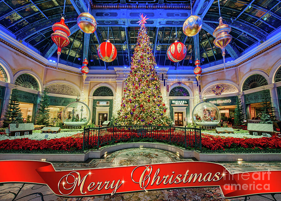 Las Vegas Photograph - The Bellagio Conservatory Christmas Tree Card 5 by 7 by Aloha Art