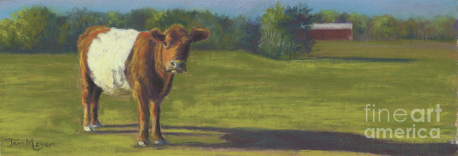 The Belted Cow Painting by Terri  Meyer