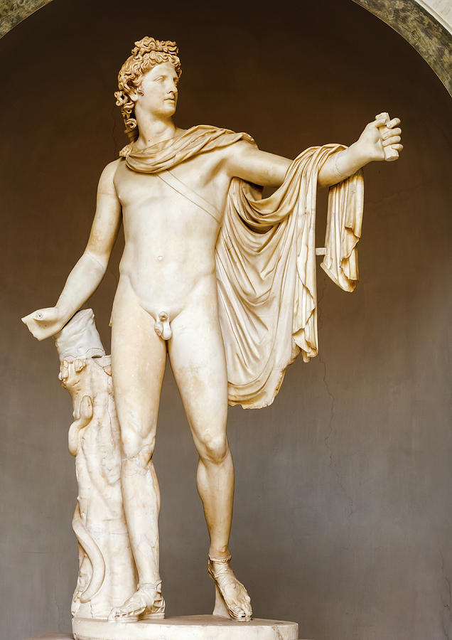 The Belvedere Apollo - statue in Vatican museum Photograph by Marek Poplawski