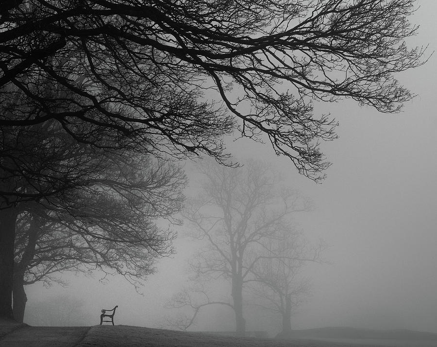 The bench and the fog Photograph by Bo Nielsen