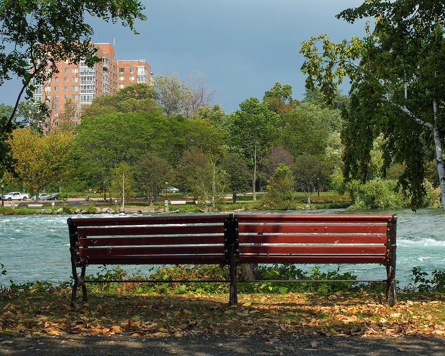 The Bench Photograph by Deborah Ritch