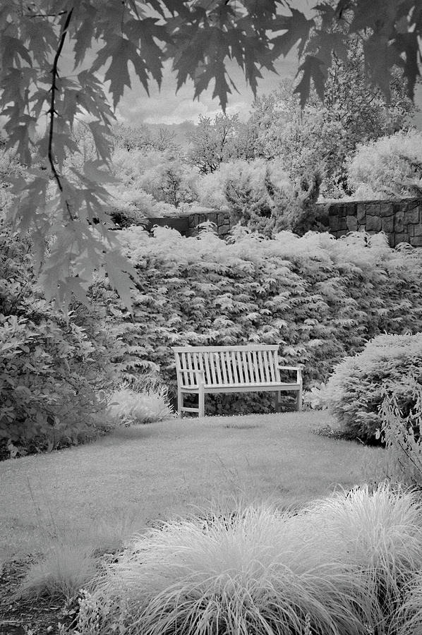 The Bench Photograph by Jill Love