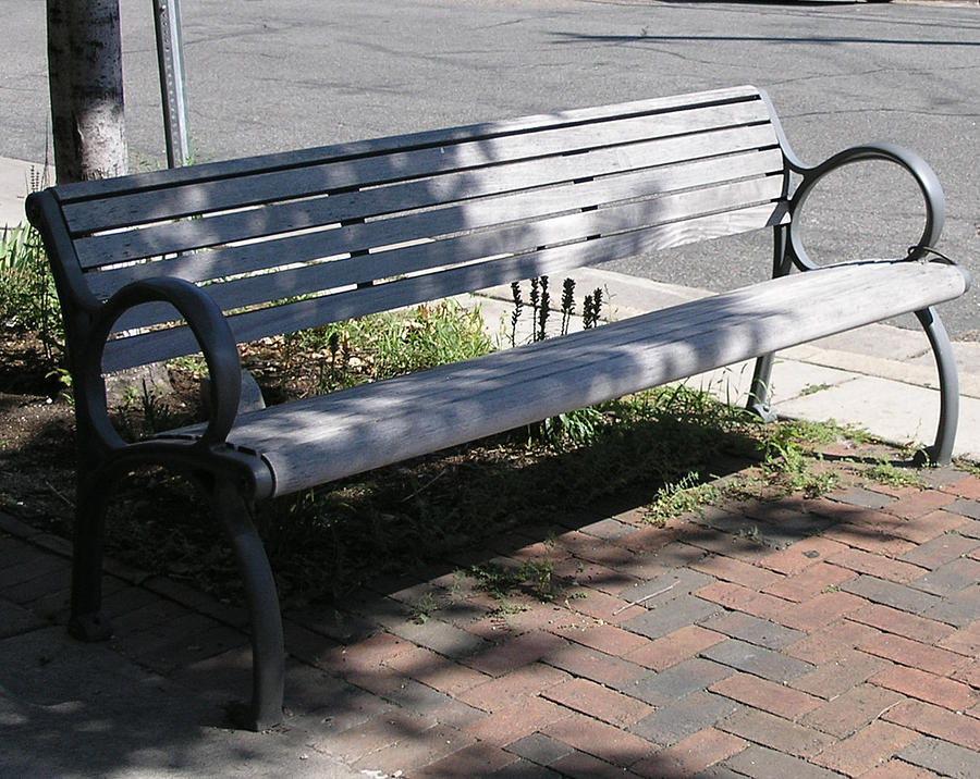 The Bench on 43rd Photograph by Janis Beauchamp - Pixels