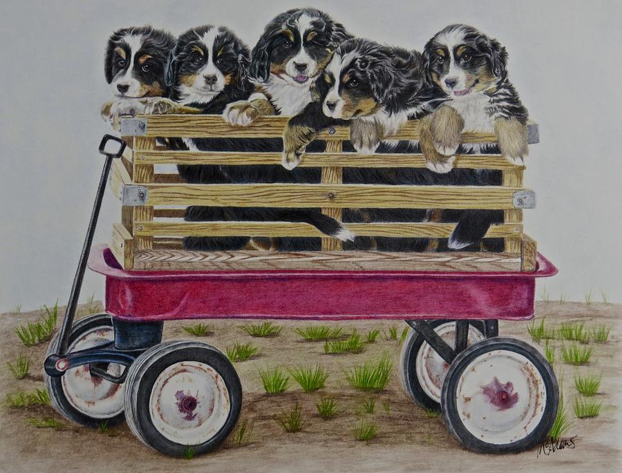 The Berner Bunch Mixed Media by Michelle McAdams