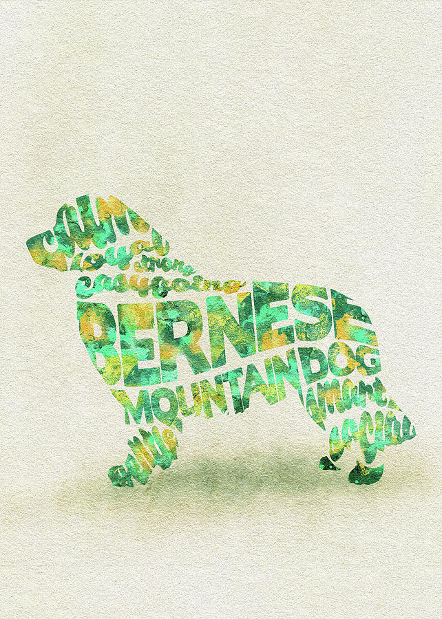 The Bernese Mountain Dog Watercolor Painting / Typographic Art Painting by Inspirowl Design