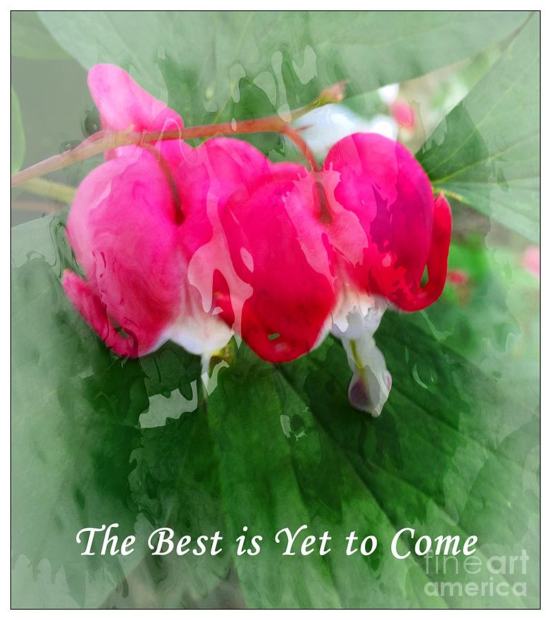 The Best is Yet to Come Photograph by Barbara A Griffin