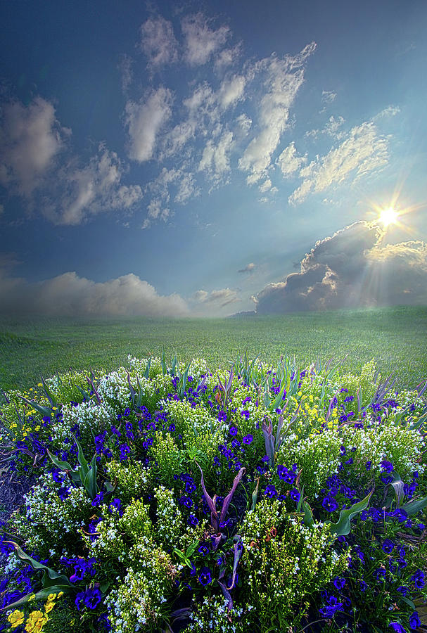 The Best Things In Life Are Made Simply Photograph by Phil Koch