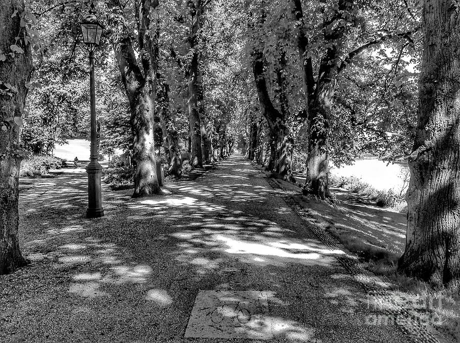 The Bicycle Path in Greyscale Photograph by Joan-Violet Stretch