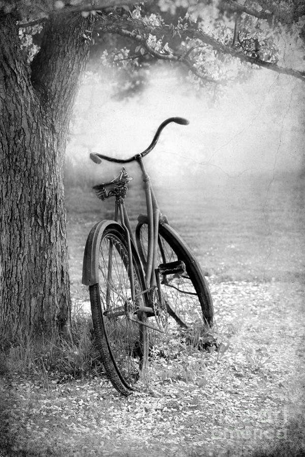 Black And White Photograph - The Bicycle by Sophie Vigneault