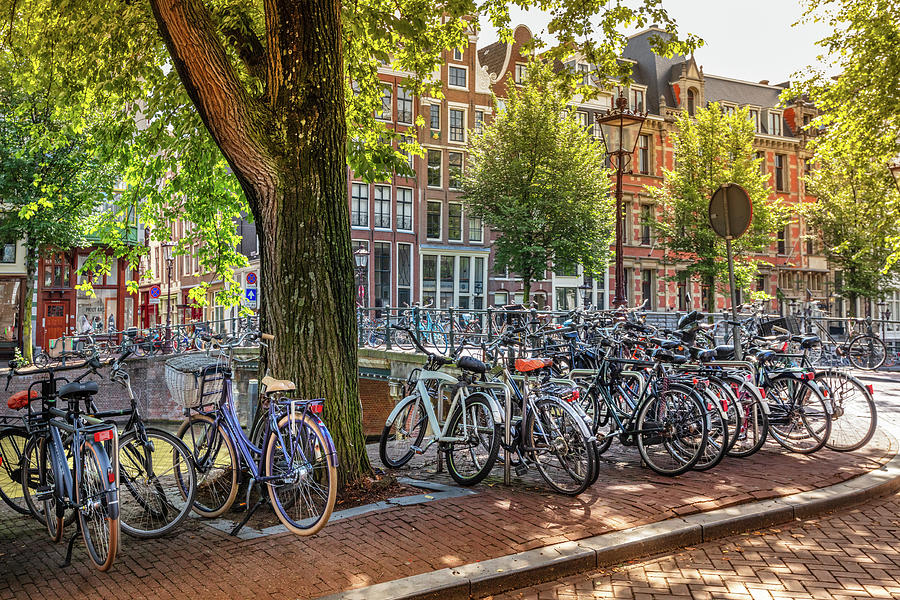 The Bicycles of Amsterdam Photograph by Debra and Dave Vanderlaan