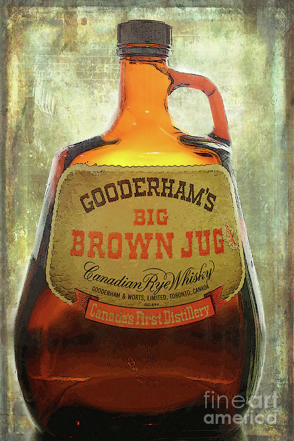 The Big Brown Jug Photograph by Nina Silver