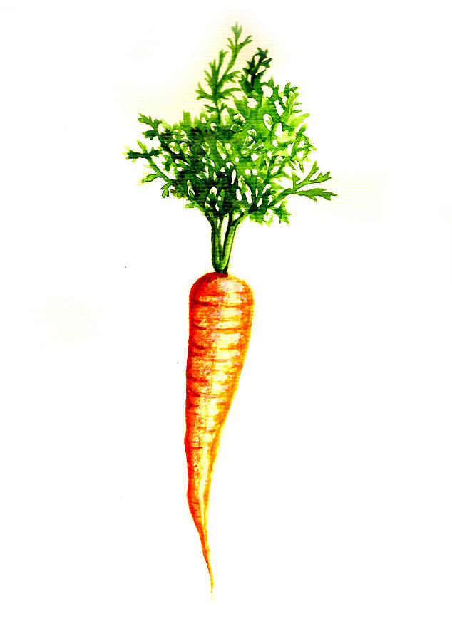 The Big Carrot Painting by Julie Lamb