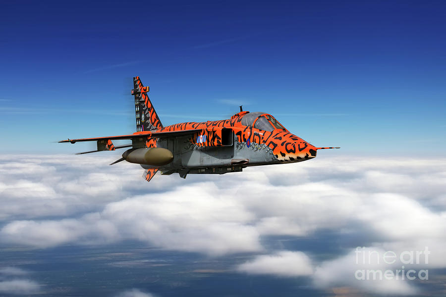 The Big Cat Digital Art by Airpower Art