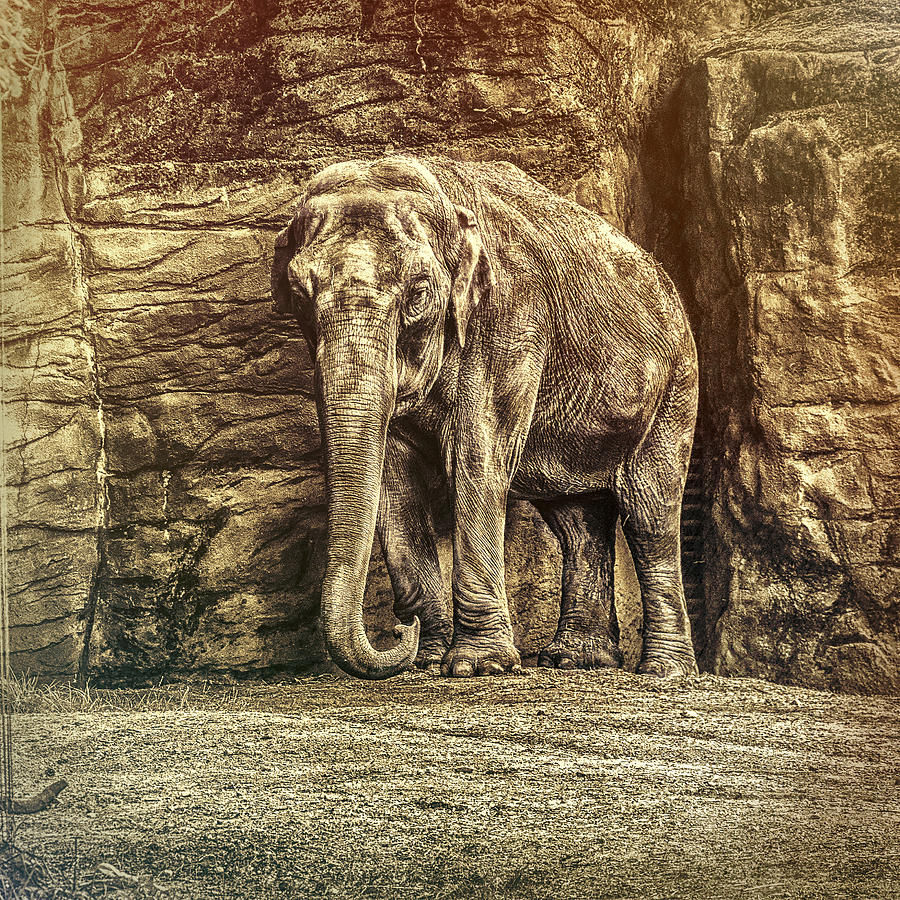 The Big Photograph by Jaroslav Buna The Big Photograph by Jaroslav Buna