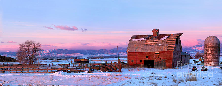 The Big Red Barn at Sunrise Photograph by Ronda Kimbrow