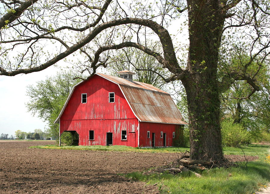 Architecture Photograph - The Big Red Barn by David Dunham