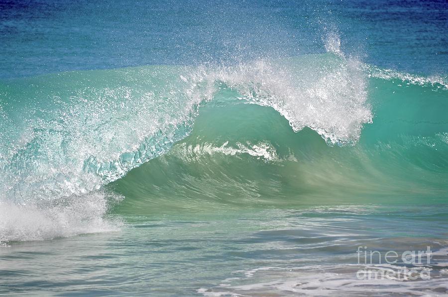 Surfs Up #1 Photograph by Csilla Florida