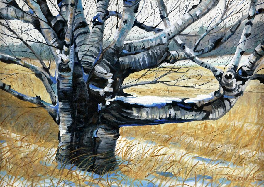 The Birch Painting by Phil Chadwick