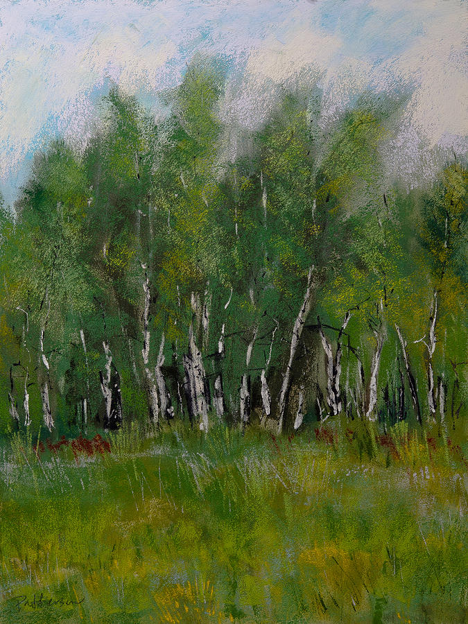 The Birch Trees on Maple Ridge Pastel by David Patterson