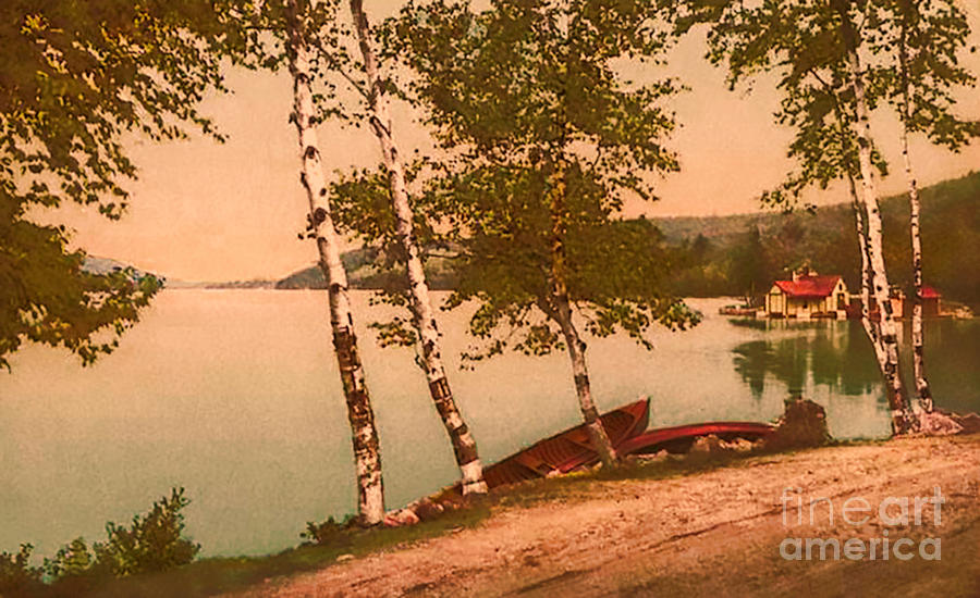 The Birches at Oak Birch Inn, Alton Bay, Lake Winnipesaukee, N. H.  Photograph by Mim White