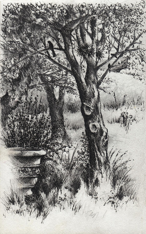 The Bird Bath Drawing by William Russell Nowicki Fine Art America