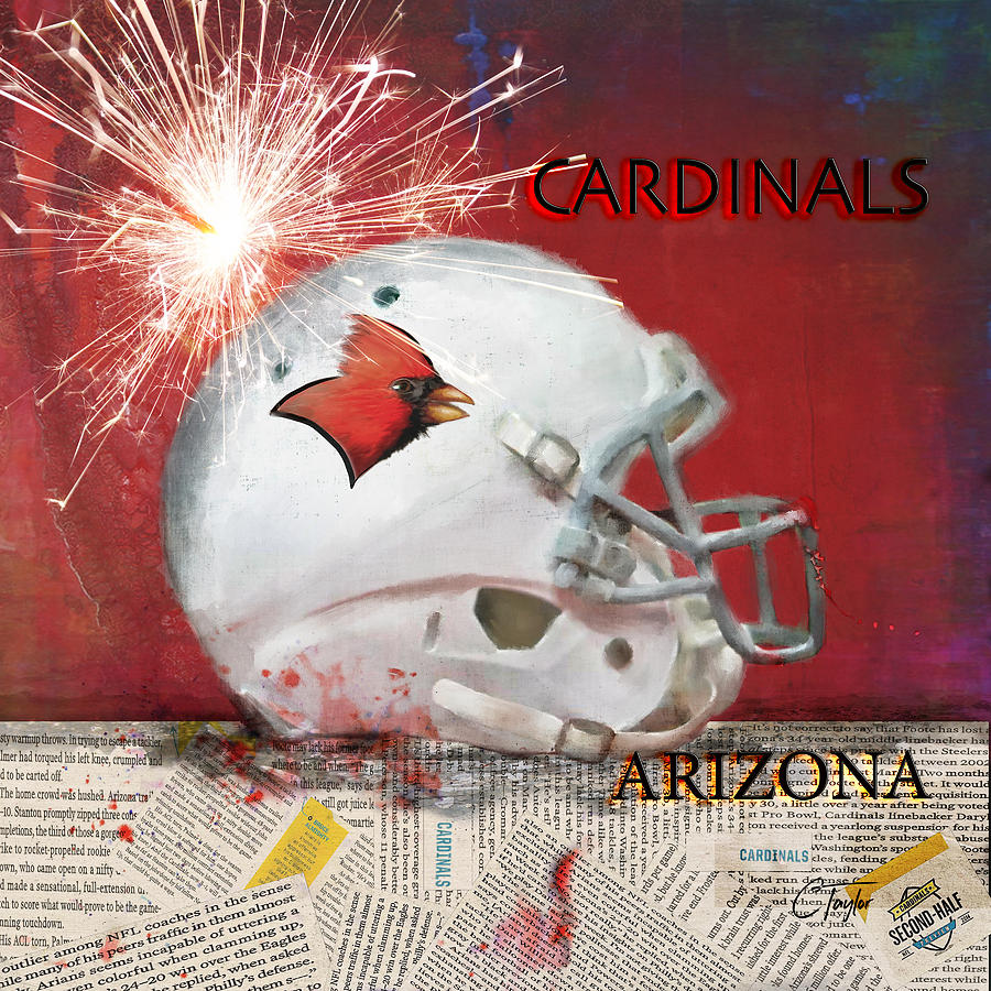 The Bird Gang Helmet Digital Art by Colleen Taylor