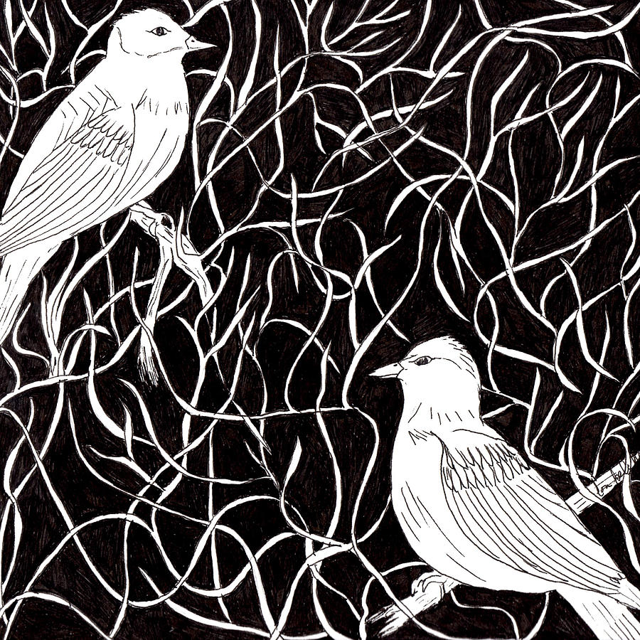 The Birds Drawing by Lou Belcher