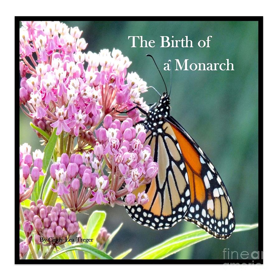 The Birth of a Monarch - Book Front Cover Photograph by Cindy Treger