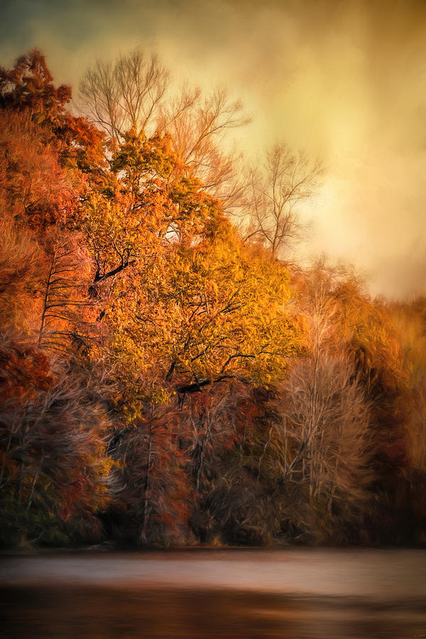 The Birth of Autumn Photograph by Jai Johnson