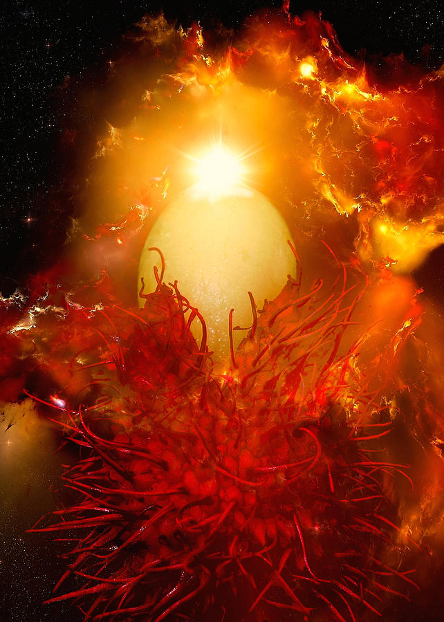 The Birth of Planet Rambutan Photograph by James Temple
