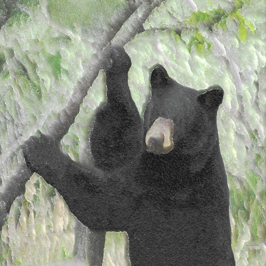 The Black Bear Photograph by Ernest Echols