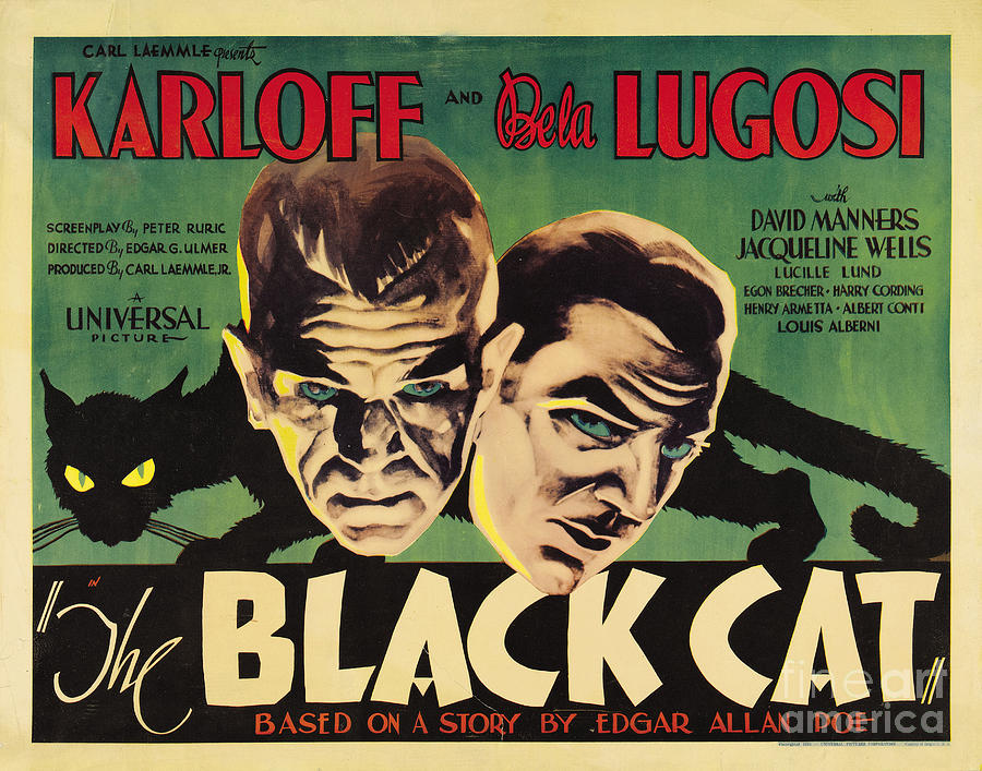 The Black Cat Classic Horror Movie Poster 1934 Painting