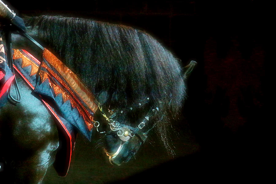 Horse Photograph - The Black Horse I by Amanda Struz