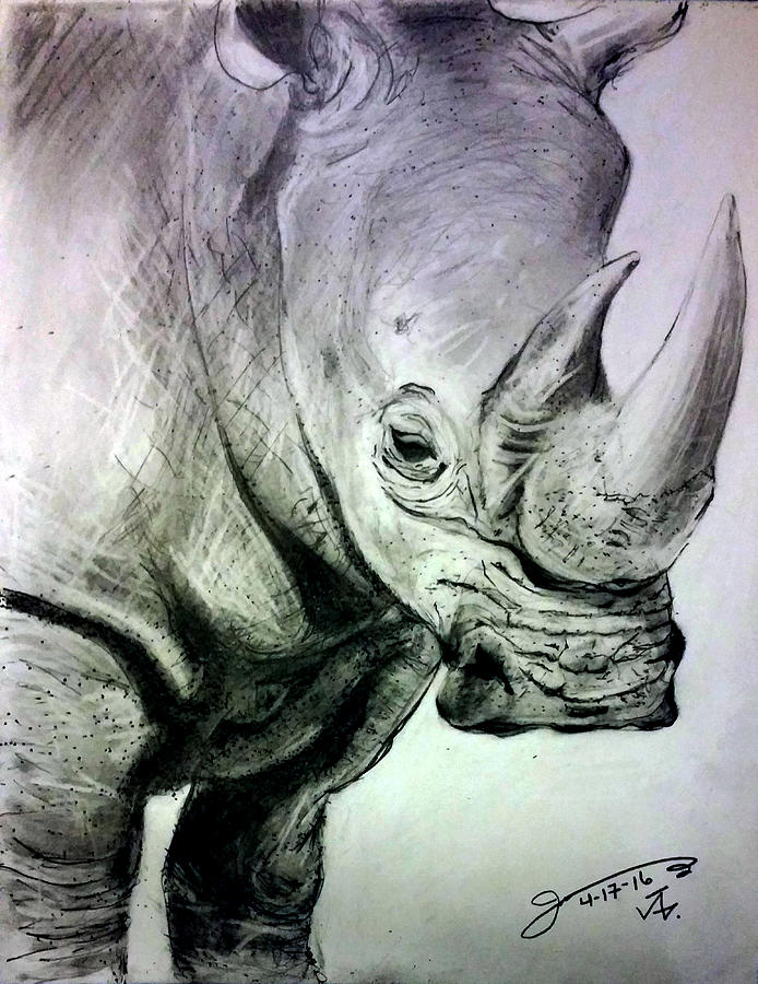 My Friend The White Rhinoceros Drawing by Jose A Gonzalez Jr - Pixels