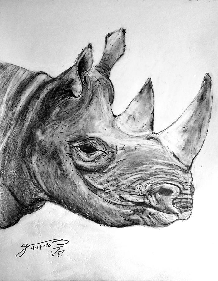 The Black Rhinoceros Iii Drawing By Jose A Gonzalez Jr - Fine Art America