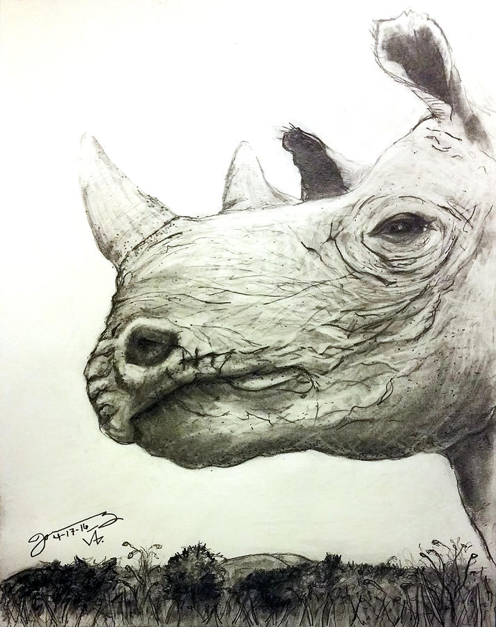 The Drawing - My Friend The Black Rhinoceros by Jose A Gonzalez Jr