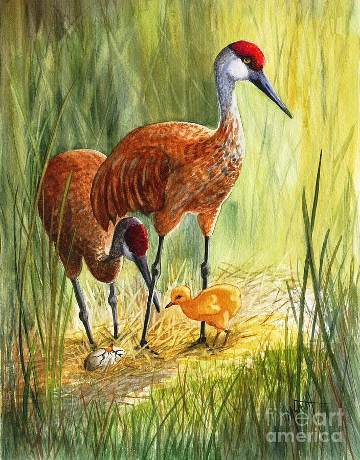 The Blessed Event - Sandhill Cranes Painting by Marilyn Smith