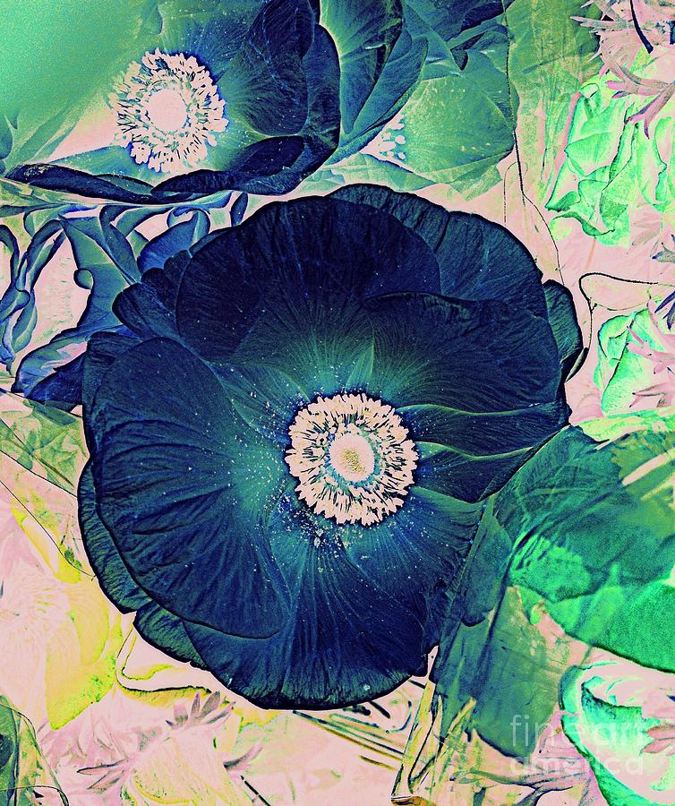 The Blue Anemone Digital Art by Nancy Kane Chapman