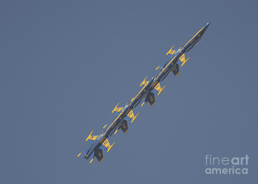the Blue Angels performs the Left Echelon Roll Painting by Celestial Images