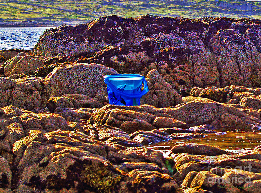 The Blue Bucket Photograph by Patricia Griffin Brett